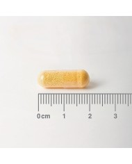 Lamberts Riboflavin 50mg (Vitamin B2) 100 Caps