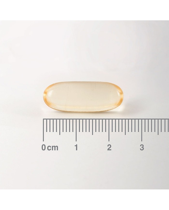 Lamberts Pure Starflower oil 1000mg 90 caps