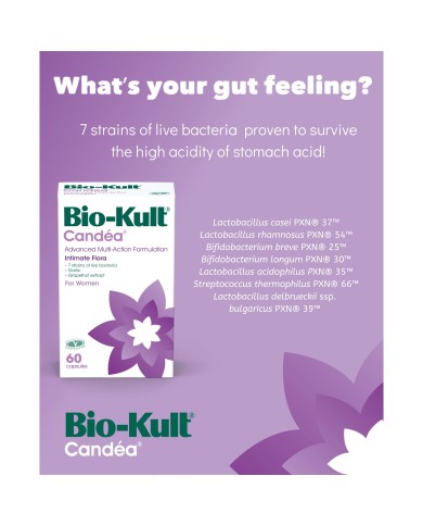 Bio-Kult Candéa 60 Caps
