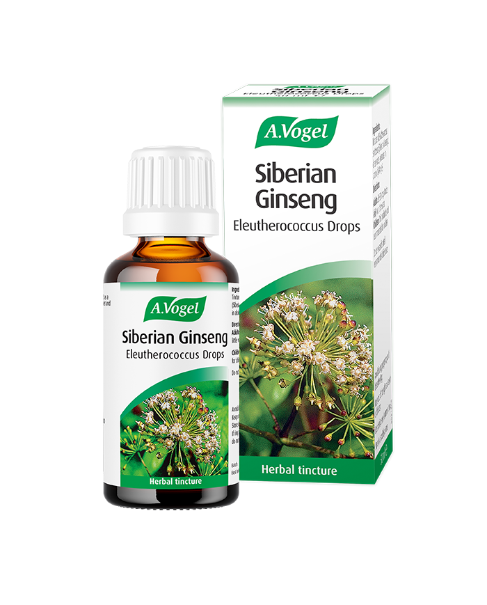 A.vogel Siberian Ginseng