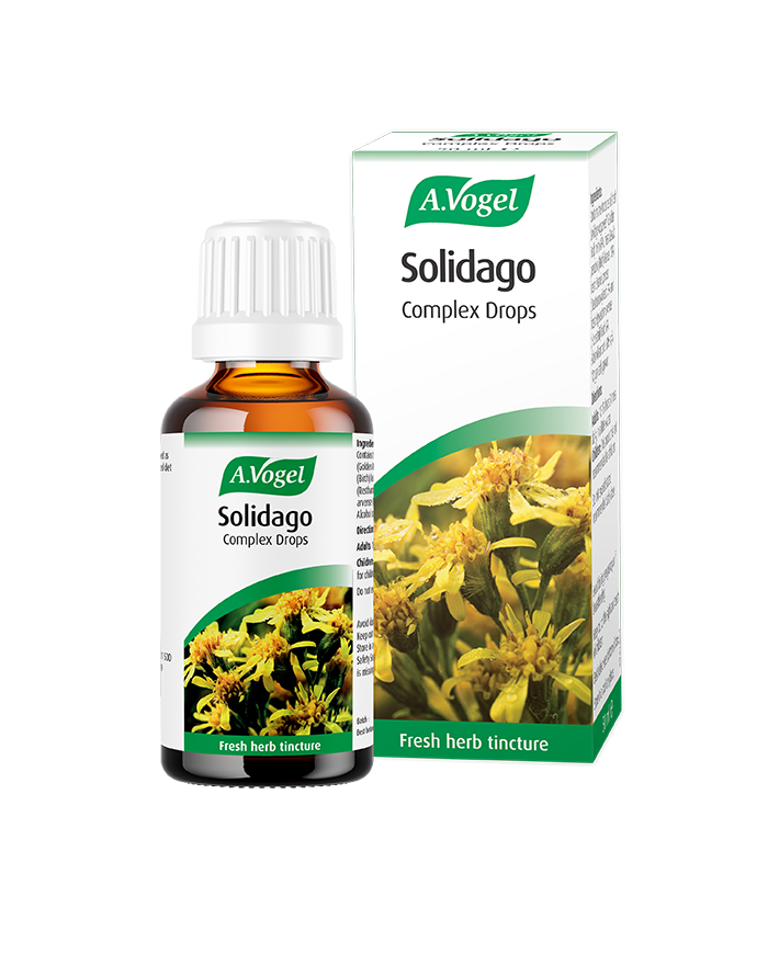 A.vogel Solidago, birch and other herbs
