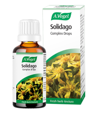 A.vogel Solidago, birch and other herbs