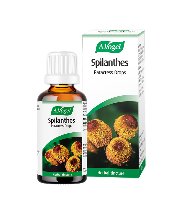 A.vogel Spilanthes oleracea