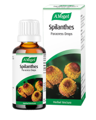 A.vogel Spilanthes oleracea