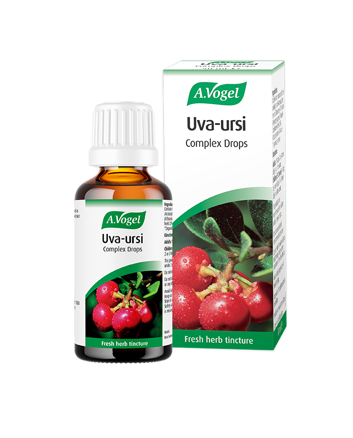 A.vogel Uva-ursi complex