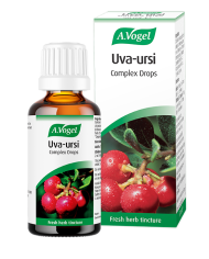 A.vogel Uva-ursi complex