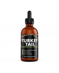 Turkey Tail Mushroom Liquid