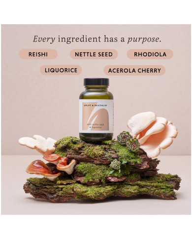 The Herb Tender Fighting Fatigue