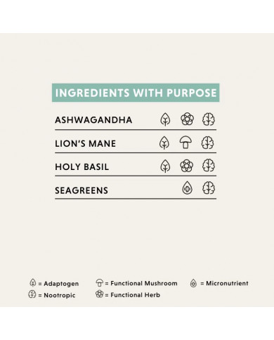 Calm & Collected: Discovery