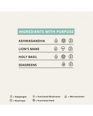 Calm & Collected: Discovery