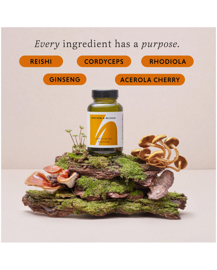 The Herb Tender Perform & Recover