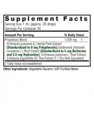 Nature's Answer Echinacea and Goldenseal Root Alcohol Free 1oz