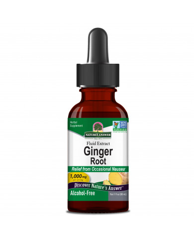 Nature's Answer Ginger Root 1oz Alcohol Free