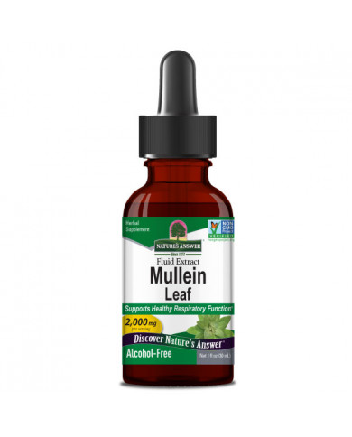 Nature's Answer Mullein Leaf Liquid Extract 1oz
