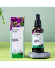 Agroecological Burdock Extract