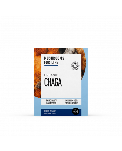 Organic Chaga Extract Powder