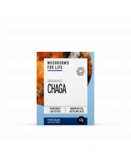 Organic Chaga Extract Powder