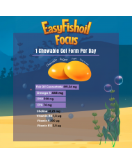 easyVit Omega 3 + Choline Vitamins B6 and B12, Folic Acid For Children EasyFishoil Focus