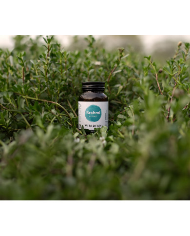 Brahmi Extract Viridian